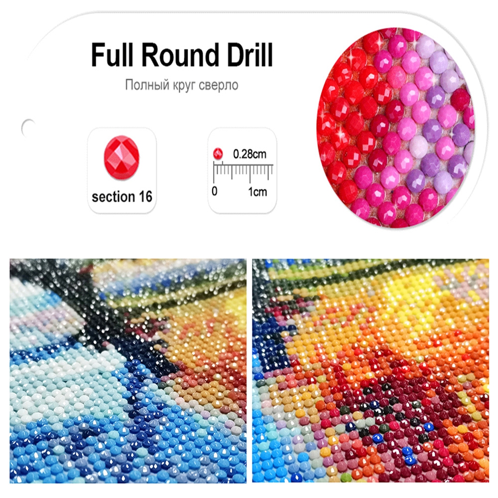 5D DIY Diamond Painting Gratef - Resin Art With Rose recensione e prezzo